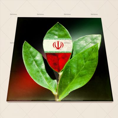 کاشی سرامیکی رشد ایران